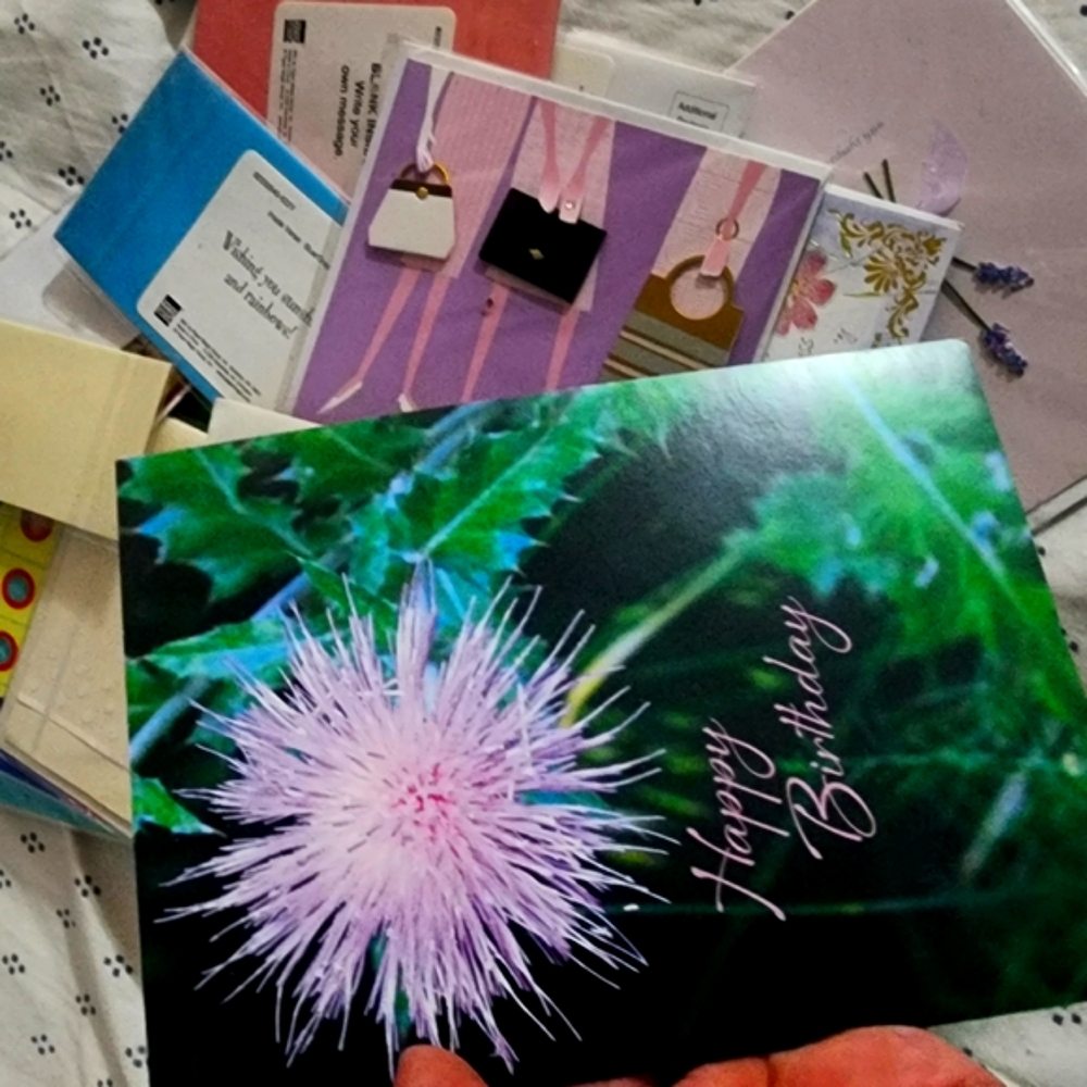 Assorted Greeting Cards Collection - Picture 5 of 8